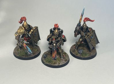 Adeptus Custodes 3x Custodian Guard Warhammer Painted Combat Patrol