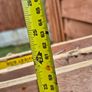 timber Image 3