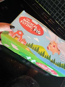 Flying pig