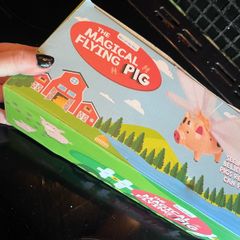 Flying pig