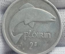 1934 silver floirin
