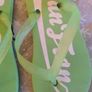 Kids flip flops Image 2