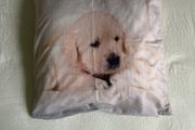 cushion cover