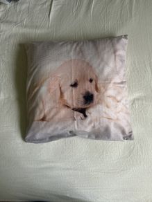 cushion cover