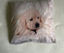 cushion cover