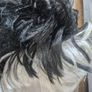 Halloween wig Image 3