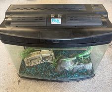 fish tank