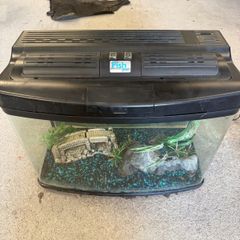 fish tank