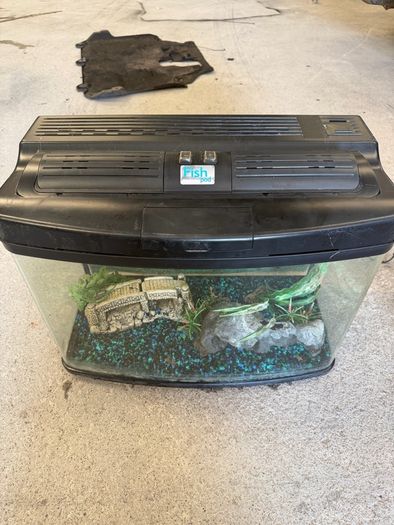 fish tank