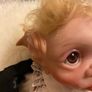 doll  boyfriend and girlfriend woodland fairy reborn dolls Image 3