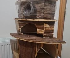 wooden houses for rabbits