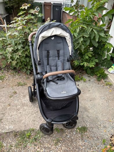 Joie Buggie