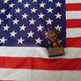 Vintage bronze new USA Bank and new USA flag Image 8