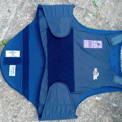 Horse riding Child Proctor