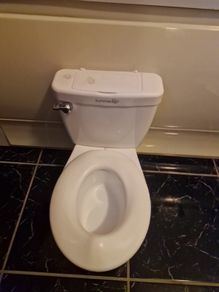 toy toilet