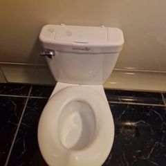 toy toilet