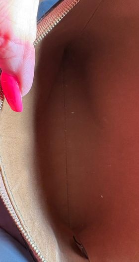 Celine Triomphe pouch