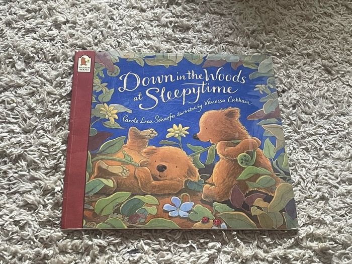 Selection of Childrens books (10 books)
