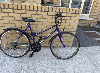 Raleigh Ladies Hybrid Bike - Purple - 18/21 Speed - Great for City / Canal