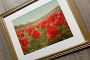 Poppy Picture