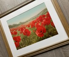Poppy Picture