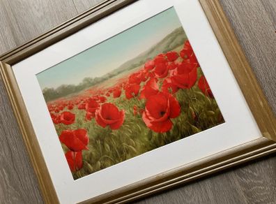 Poppy Picture
