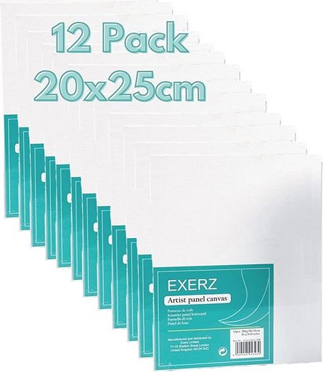 20x25cm Canvas Panels 12pcs 280GSM/ Artist Canvas Board 100% Cotton 0.3cm Thinkness/ Blank/ Triple Primed/ Acid Free/ Medium Grain