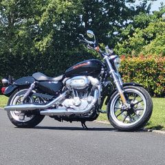 Harley Davidson Sportster, Xl883l