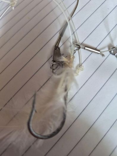 Fish Hook