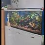 Fish tank and stand Image 2