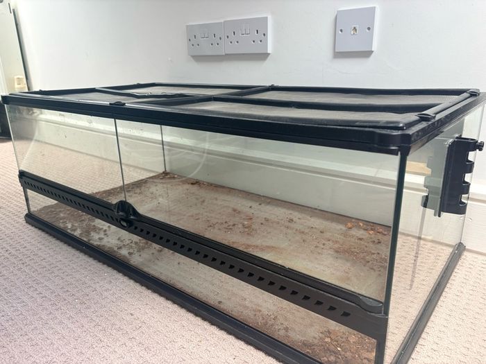 Lizard tank