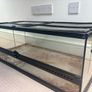 Lizard tank Image 4