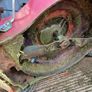 lawnmower Image 5