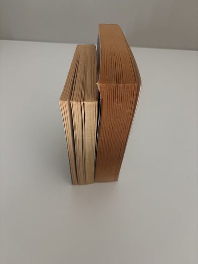 Free Books - Bridget Jones 2 & The Street Lawyer