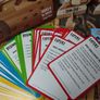 Cat Crimes ! Whos to Blame Logic Game ! Mensa Mind Games Finalist ! Image 6