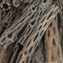 Pieces Cholla Cactus Wood 6"/Chinchilla Chews, shrimps, fishtank Image 8