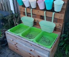 Wooden Ikea trofast storage unit with 3 green boxes and 8 metal planters pots
