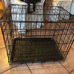large dog cage