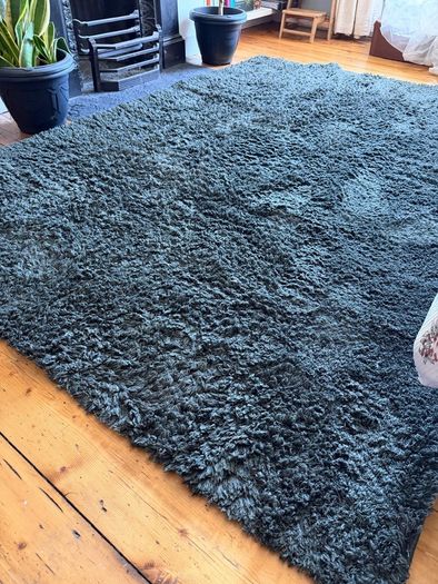 IKEA green rug - Vindebak