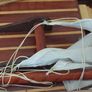 Large Timber  crafted model of the Cutty Sark, A speedy Clipper Sailboat that transported TEA in the late 19thy century Image 8