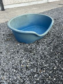 Plastic dog bed