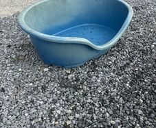 Plastic dog bed