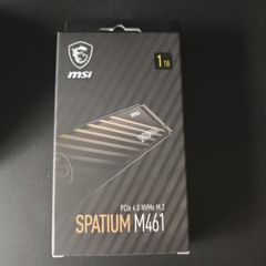 nvme ssd MSI M461 1TB