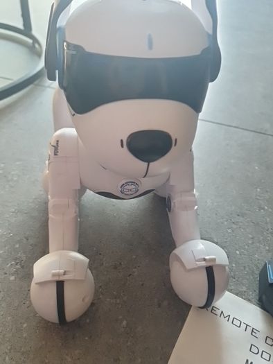 Ziggy dog robot