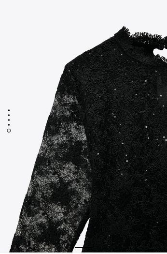 Zara Lace Sequins Top