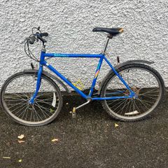 Bike Raleigh