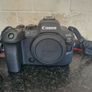 Canon R6 Mark II Image 3