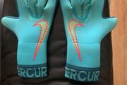 Nike goalkeeper gloves blue