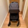 Buggy Image 7