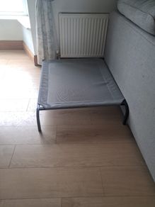 Raised Dog Bed